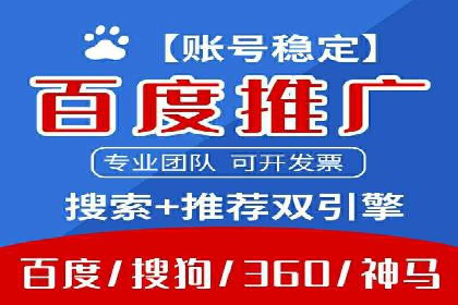某知名品牌网络推广竞价全解析